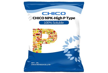 What Are the Differences Between NPK Compound Fertilizer and NPK Soluble Fertilizer?