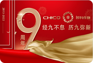 CHICO 10th Anniversary Celebration