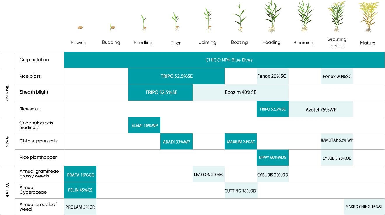 Agricultural Agro Chemicals