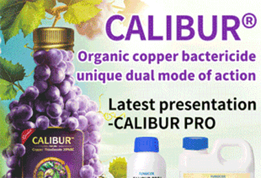 CHICO just launched CALIBUR PRO!