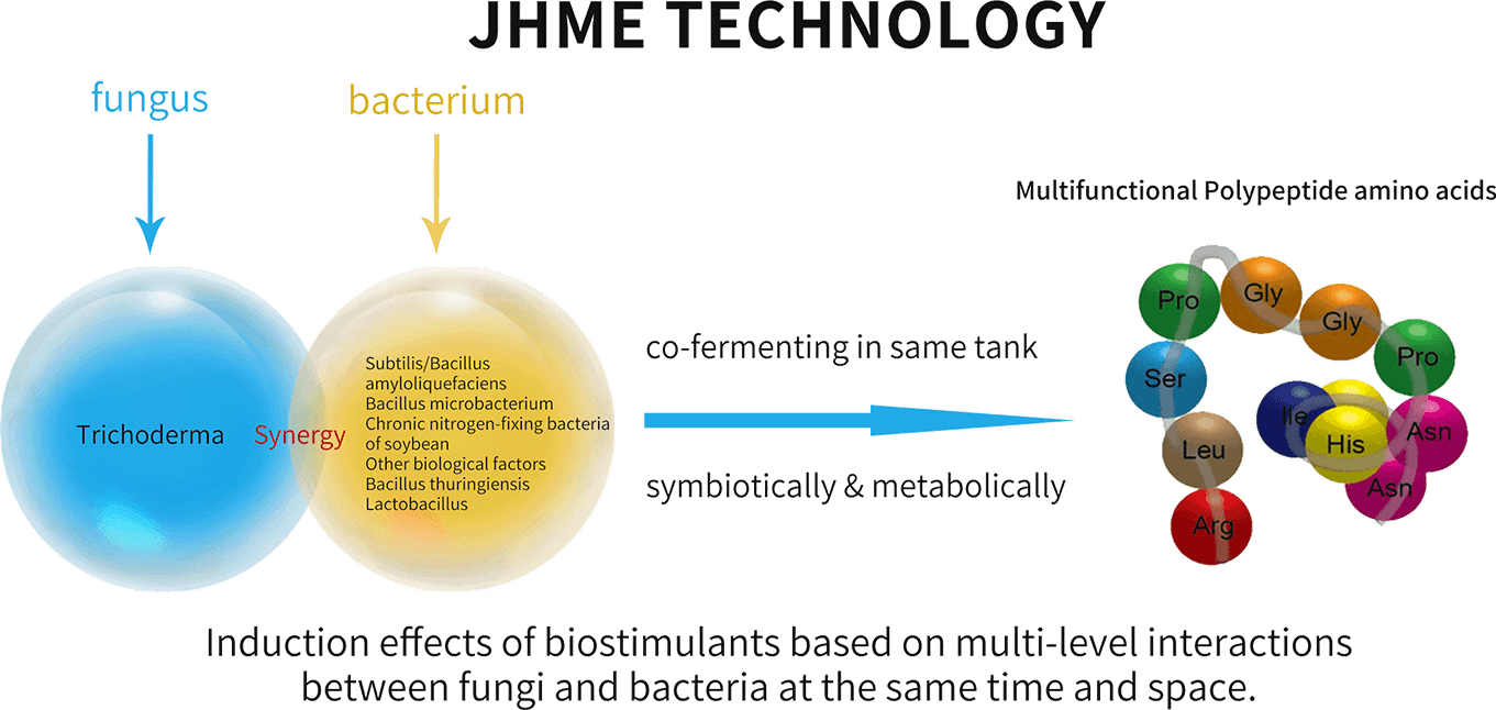 Advantage of Organic Bio Amino Acid Fertilizer