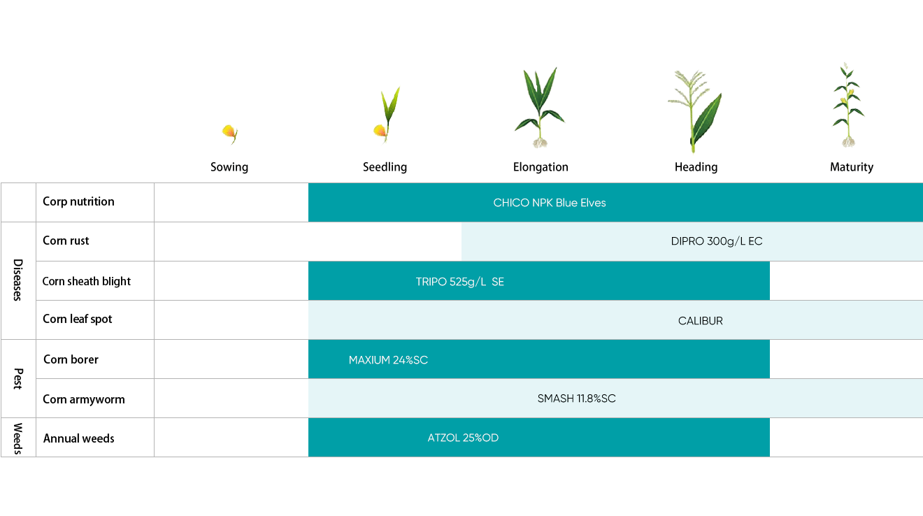 Corn Solution