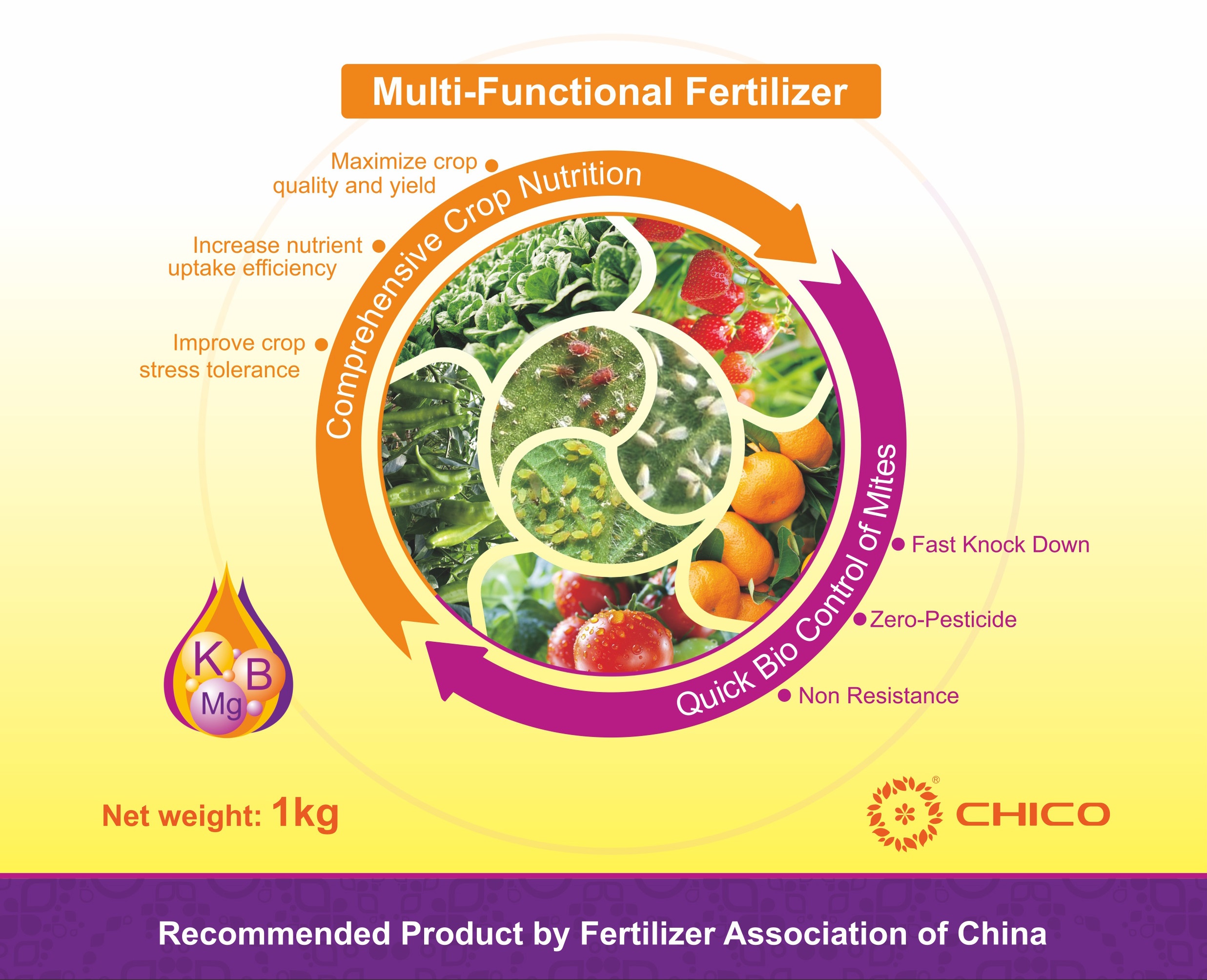 Fungicide for Seeds