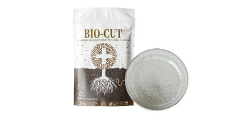 bto-cut.jpg bto-cut.jpg