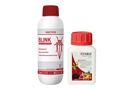 Control Piercing-Sucking insects with Chico Solution and Increase yield